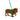 Dog Wearing Emerald Green Leather Harness