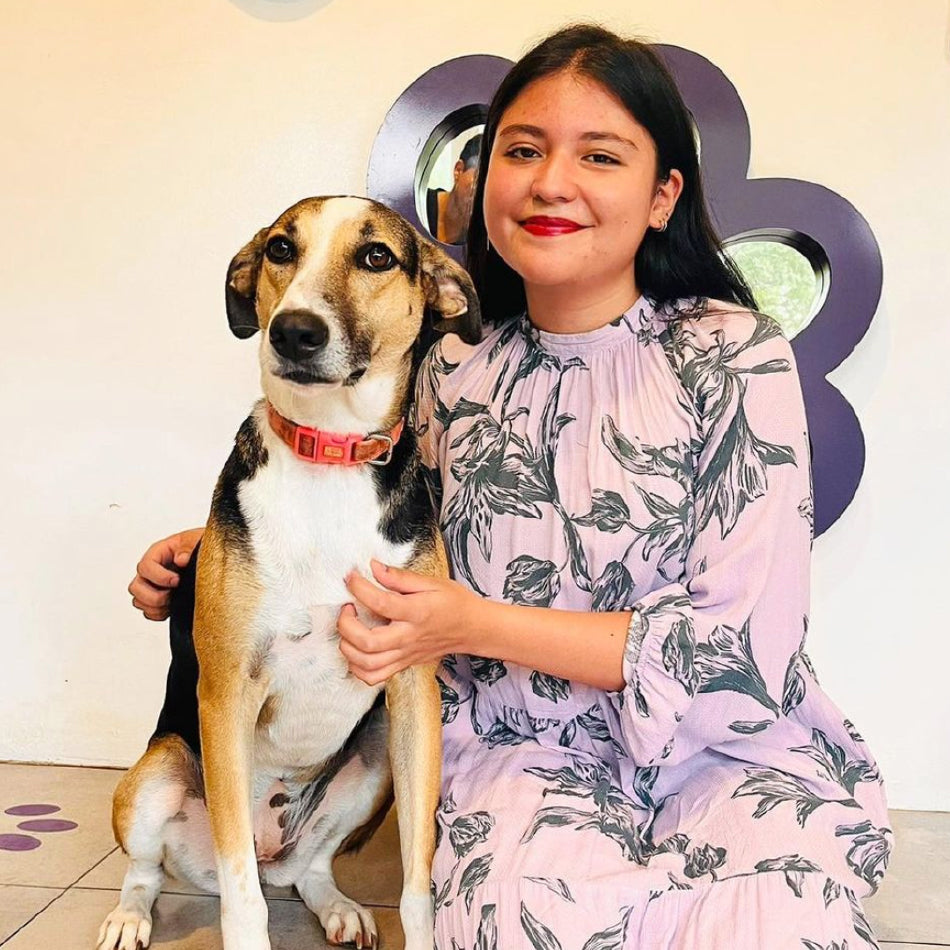 Adopt a Fluff – Ramona For You