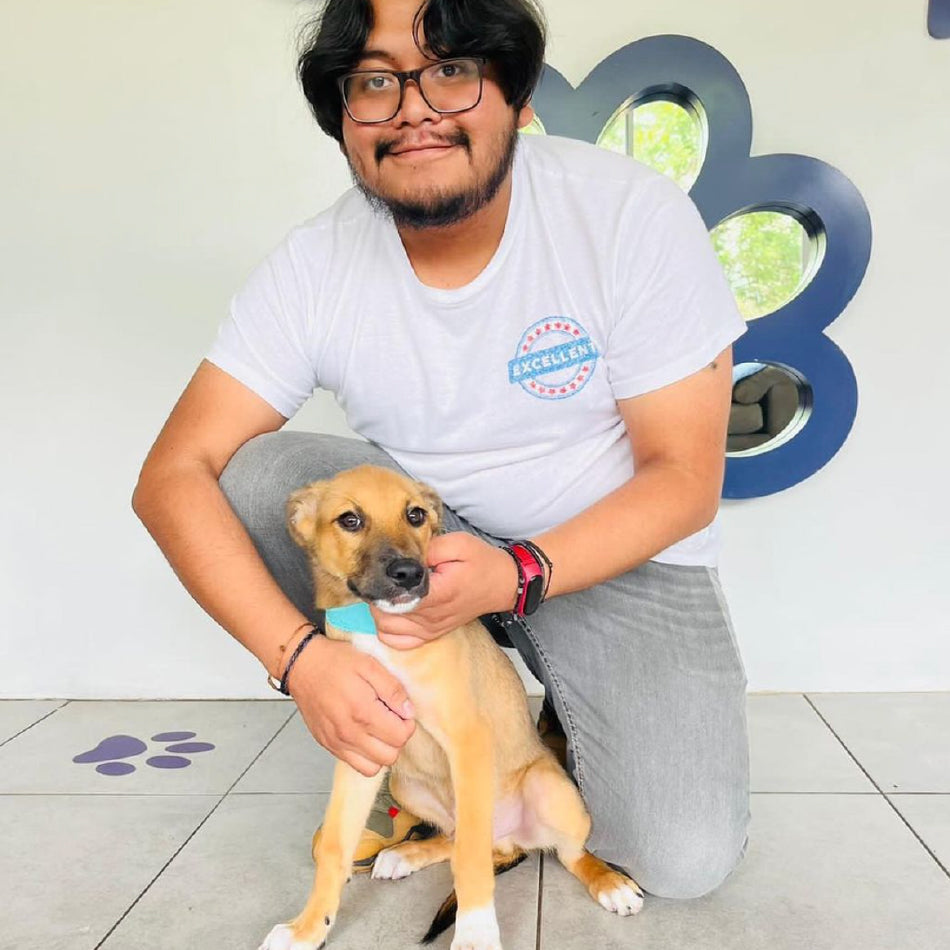 Adopt a Fluff – Ramona For You