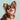 Minted Caramel Dog Collar
