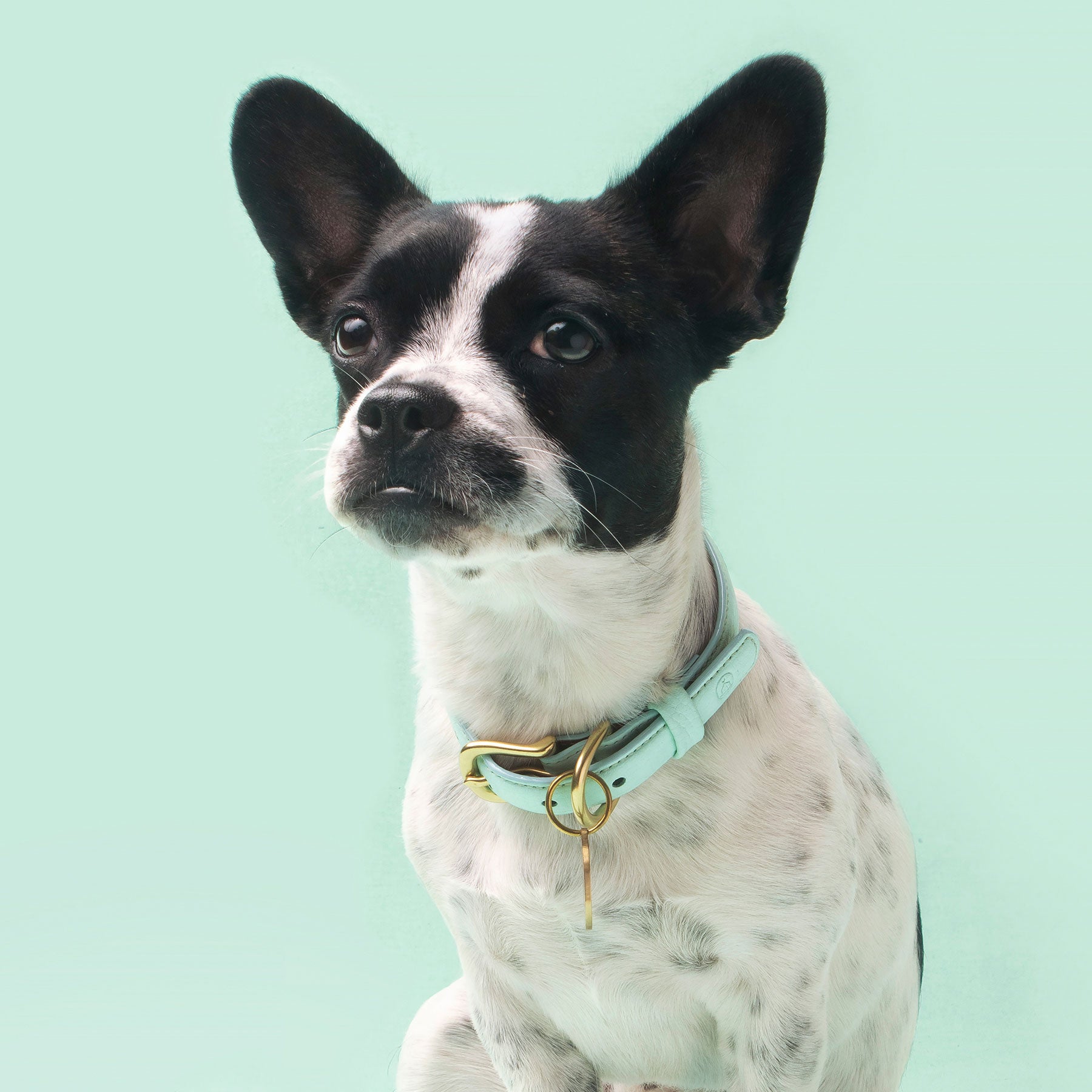 Dreamy Mint Leather Collar - Ramona For You