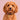 Berry Cocoa Latte Dog Collar
