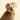 Dog wearing a yellow collar and leash on a beige background