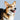 Corgi wearing navy blue leather collar