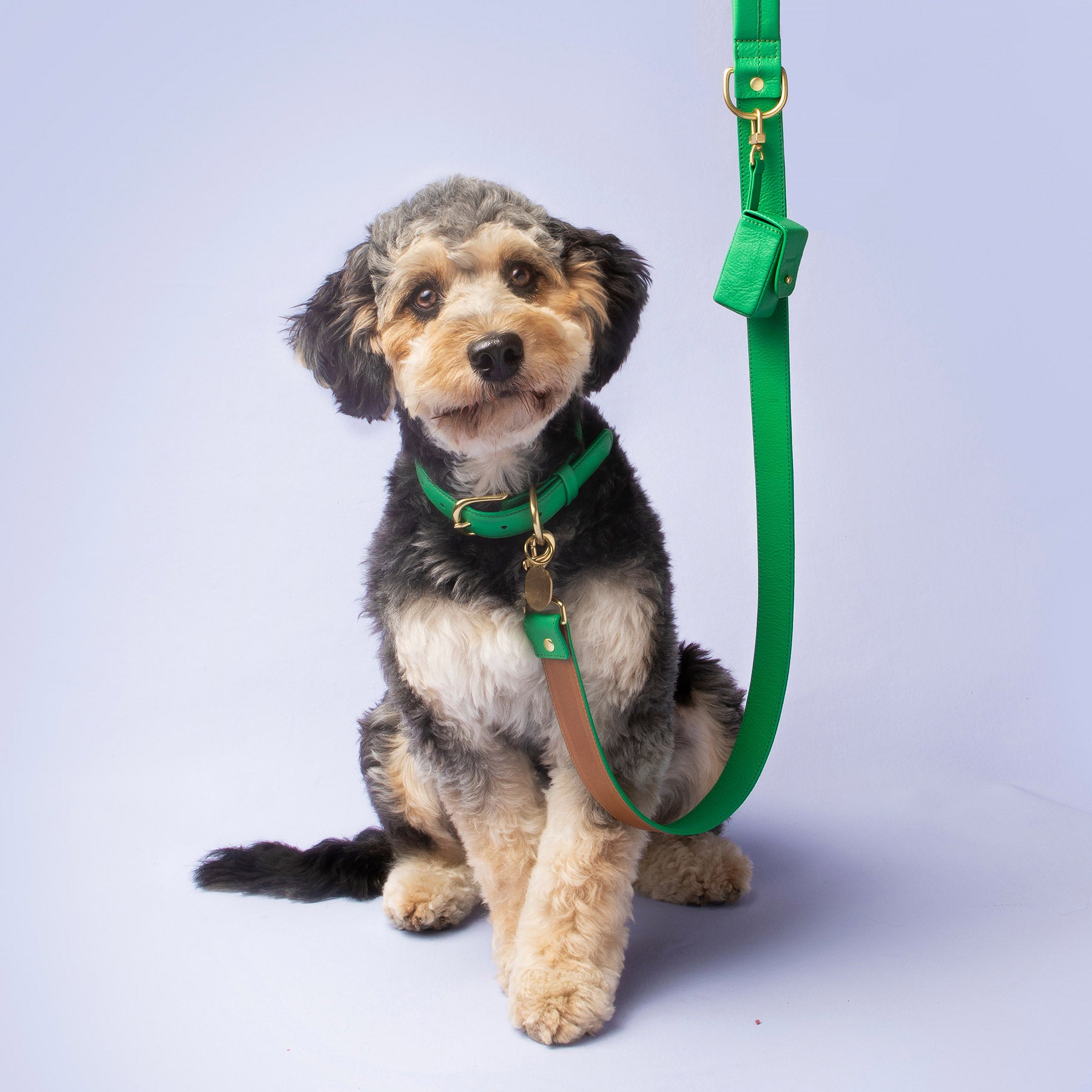 NAKED Dog Harness - Standard - Complete Pet