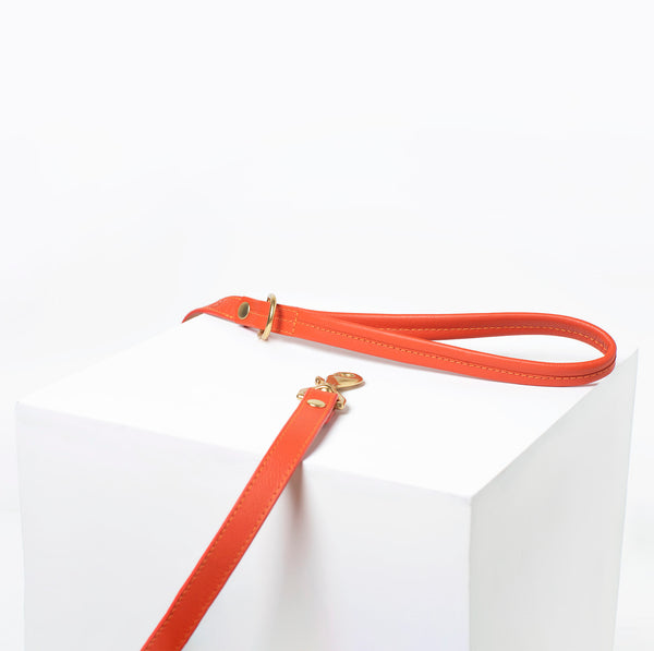Orange leather dog leash with brass hardware