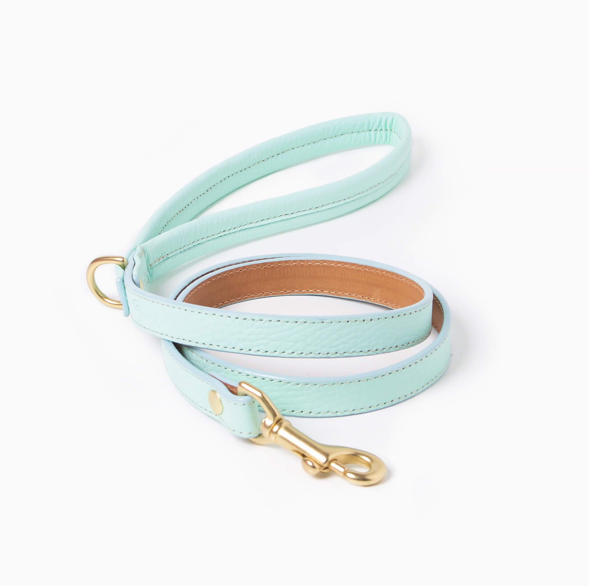 Mint leather dog leash with brass hardware